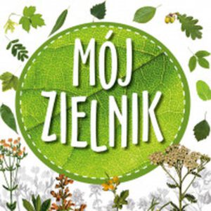Wyróżnienie w konkursie